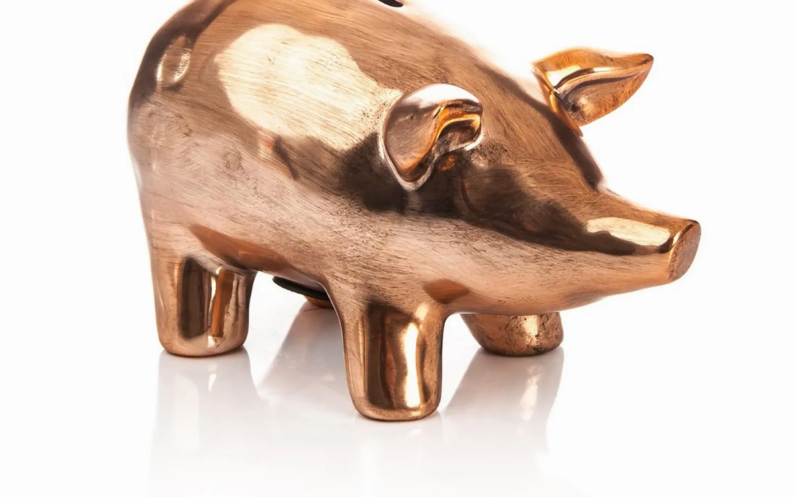 Piggy bank, pig and bronze