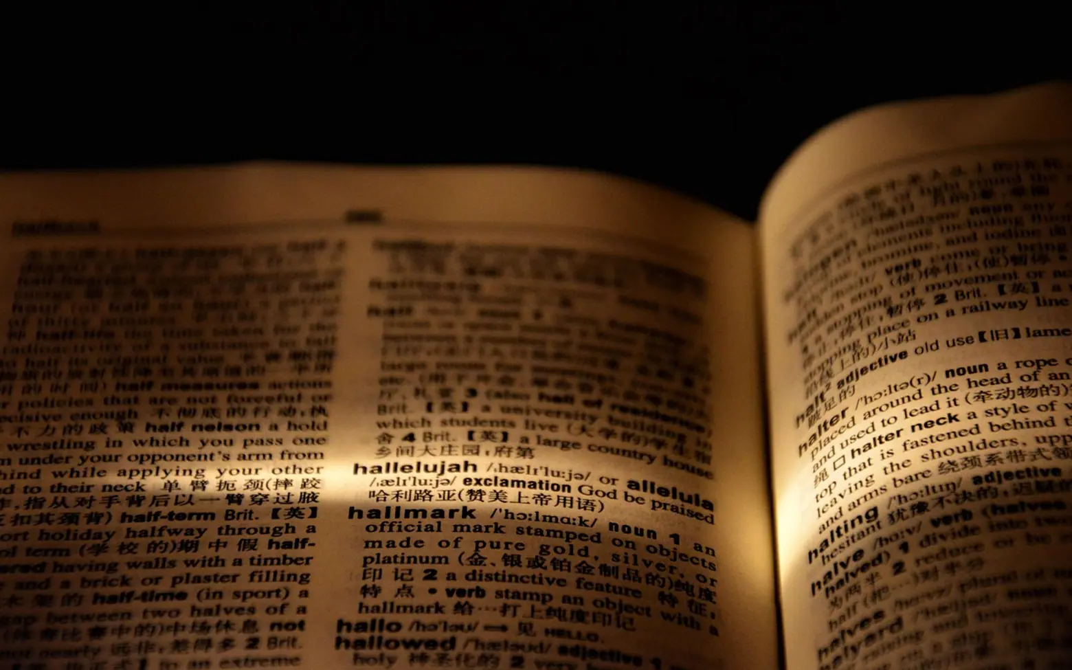 Hallelujah, dictionary and page